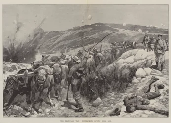 The Transvaal War, Bluejackets saving their Gun